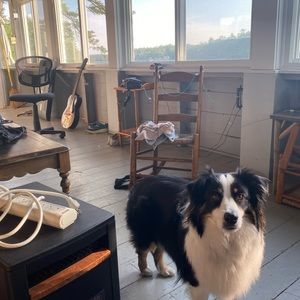 Meet your Posher, Ashly